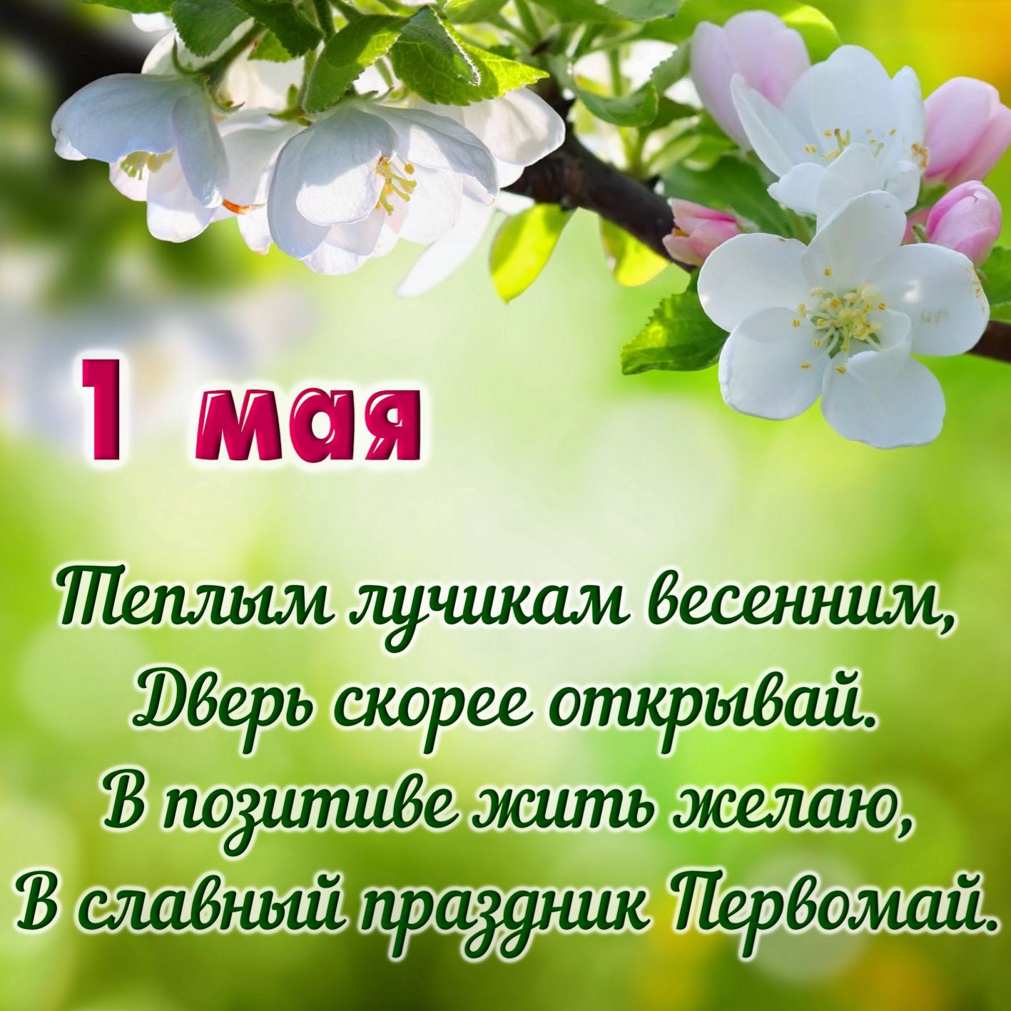 Картинки Люблю Май