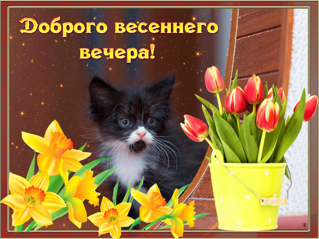 Доброго Дня Доброго Вечера Картинки Красивые
