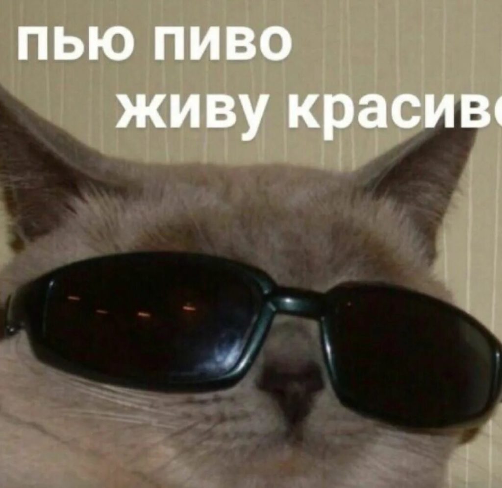 100 100